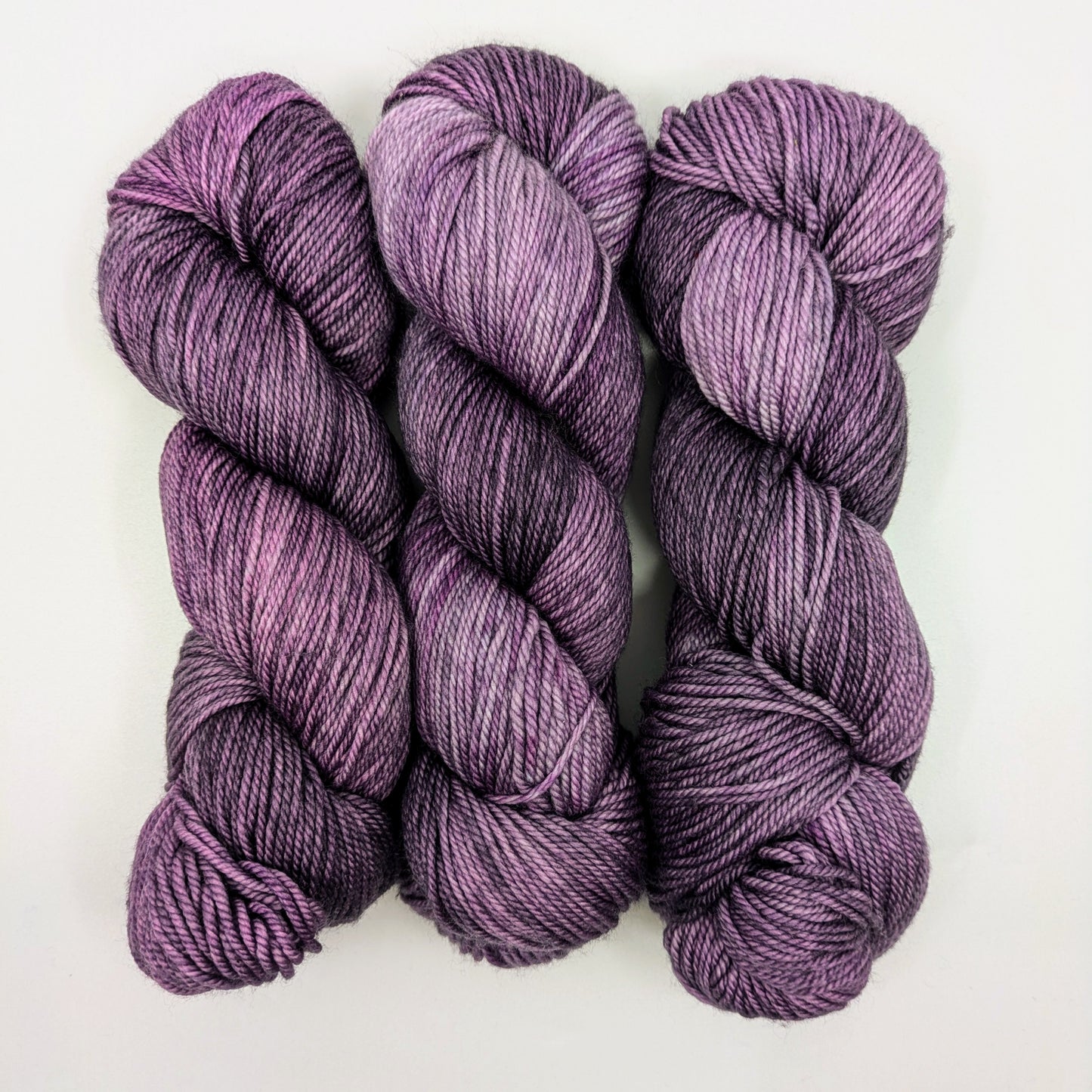 Dusky - Reef DK