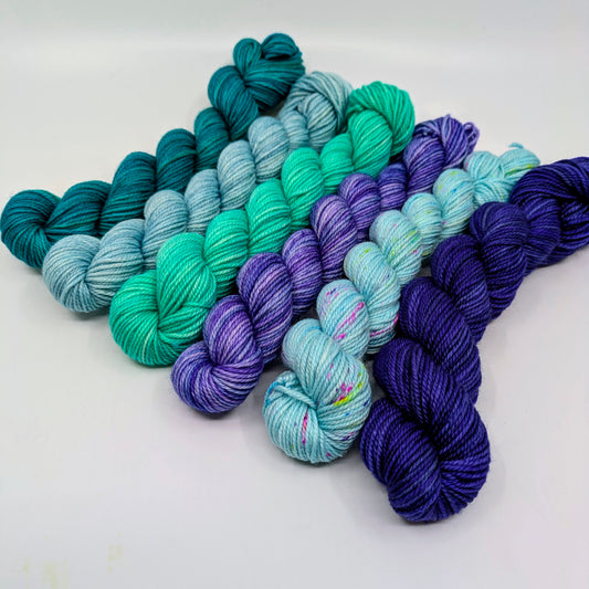 Oasis - Snapper MCN Mini Skein Set