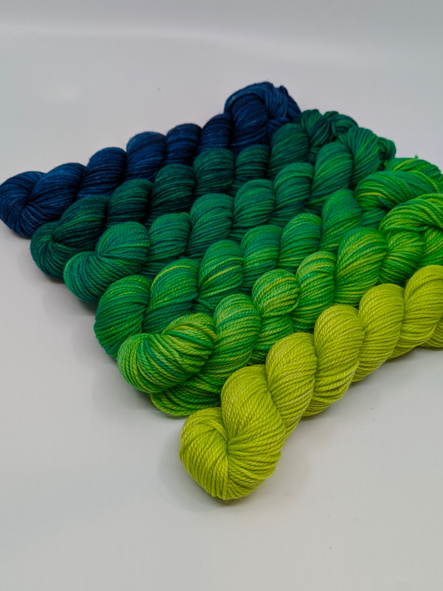 Tropics - Snapper MCN Mini Skein Set