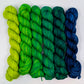 Tropics - Snapper MCN Mini Skein Set