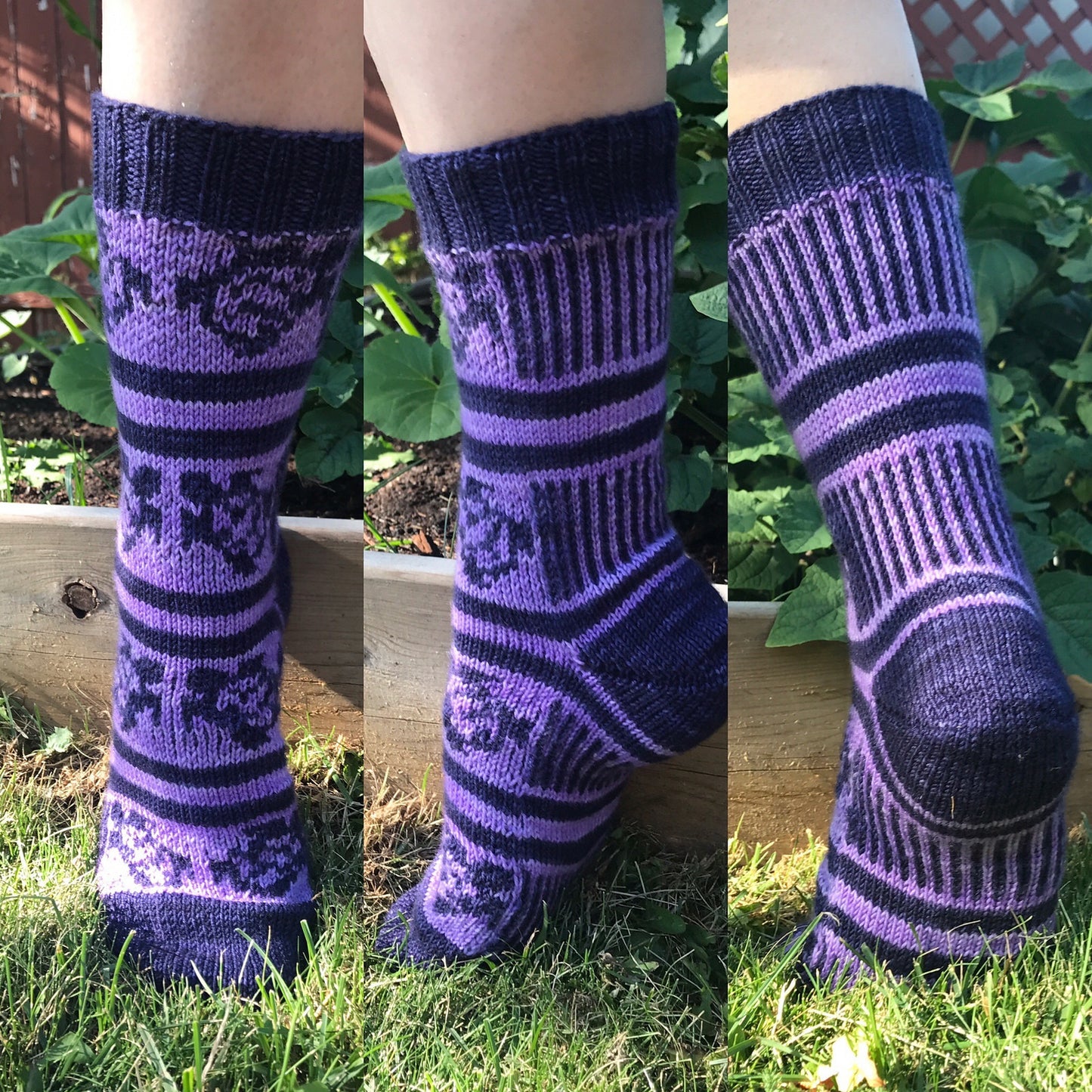 Sea Turtle Socks Pattern